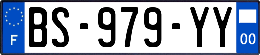 BS-979-YY