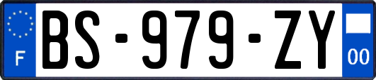 BS-979-ZY