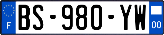 BS-980-YW
