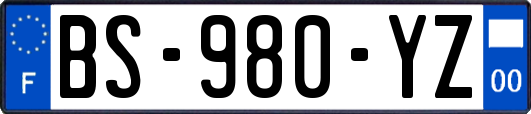 BS-980-YZ