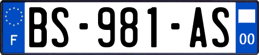 BS-981-AS