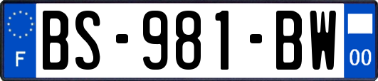 BS-981-BW