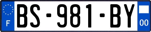 BS-981-BY