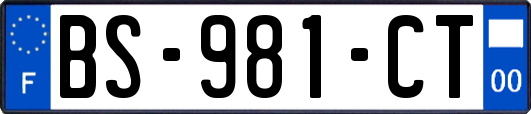 BS-981-CT
