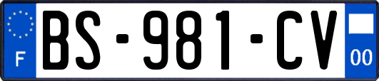 BS-981-CV
