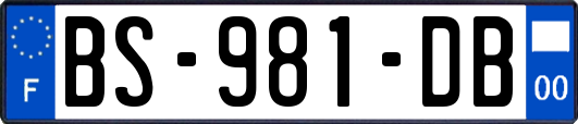BS-981-DB