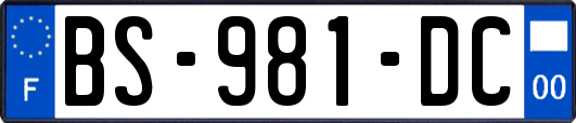 BS-981-DC