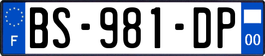 BS-981-DP