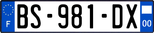 BS-981-DX