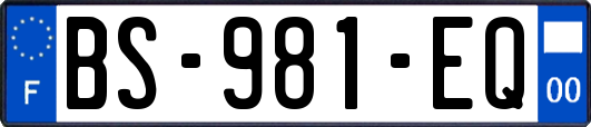 BS-981-EQ