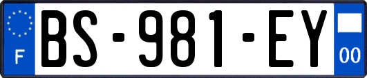 BS-981-EY