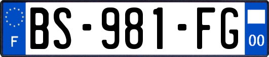 BS-981-FG