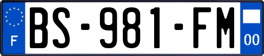 BS-981-FM