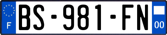 BS-981-FN