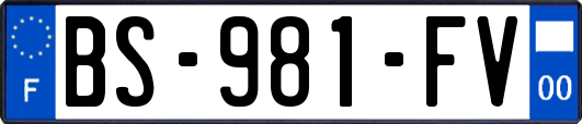 BS-981-FV