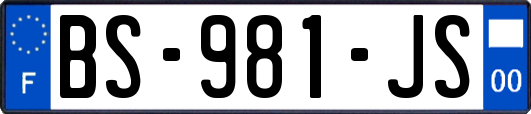 BS-981-JS