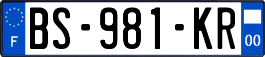BS-981-KR