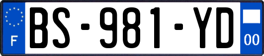 BS-981-YD