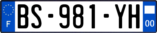 BS-981-YH