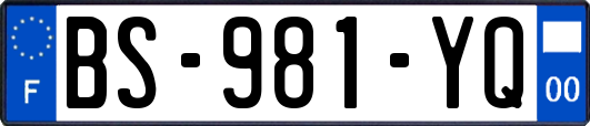 BS-981-YQ