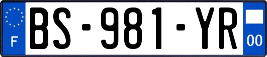 BS-981-YR