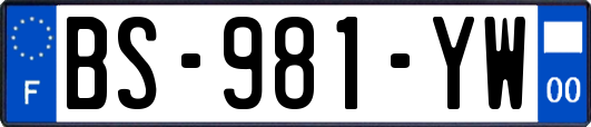 BS-981-YW