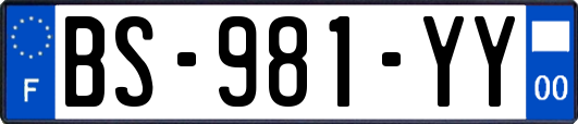 BS-981-YY