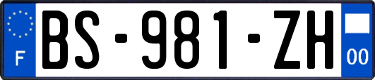 BS-981-ZH