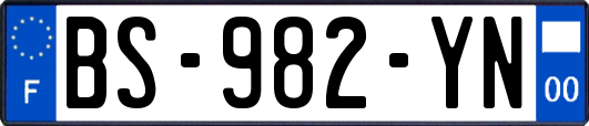BS-982-YN
