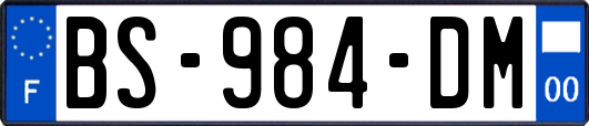 BS-984-DM