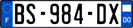 BS-984-DX