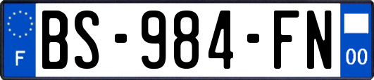 BS-984-FN