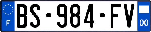 BS-984-FV
