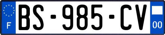 BS-985-CV