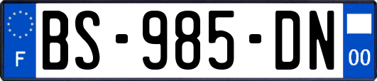 BS-985-DN