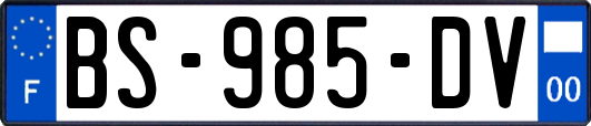 BS-985-DV
