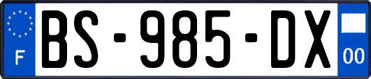 BS-985-DX