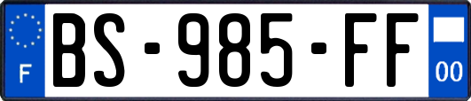 BS-985-FF