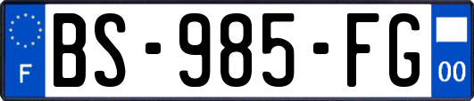 BS-985-FG