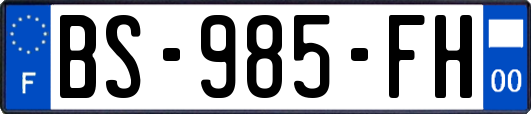 BS-985-FH