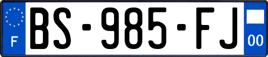 BS-985-FJ