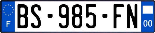 BS-985-FN