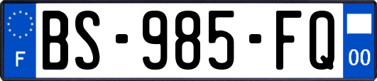 BS-985-FQ