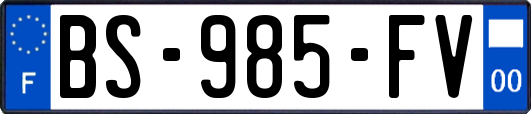 BS-985-FV