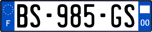 BS-985-GS