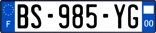 BS-985-YG