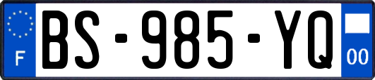 BS-985-YQ