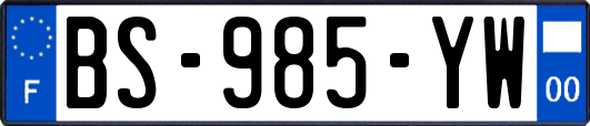 BS-985-YW