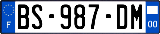 BS-987-DM
