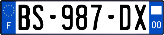 BS-987-DX